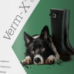 Verm-X Hund